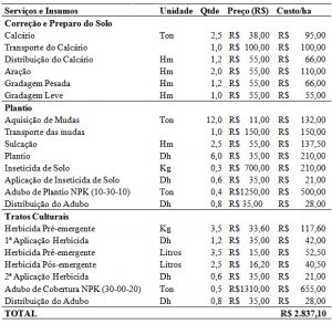 Tabela com custo de formação de um canavial