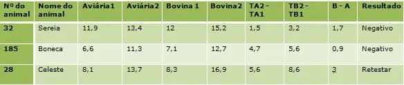 Tabela com dados de medições de três bovinos submetidos à inoculação contra a brucelose
