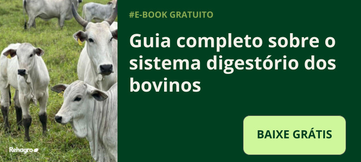 E-book Sistema digestório de bovinos