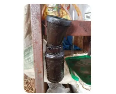 Processo de cura de umbigo de bezerros com tintura de iodo