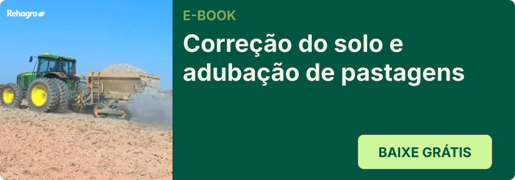 E-book Correção do solo e adubação de pastagens