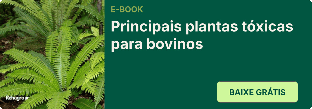 E-book Plantas tóxicas para bovinos