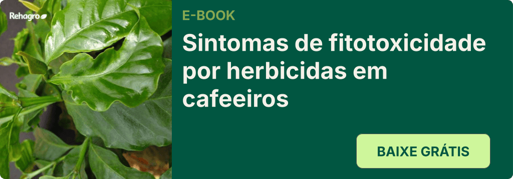 E-book sintomas de fitotoxicidade