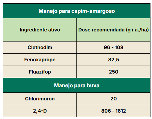 Ingredientes para manejo do capim amargoso e buva