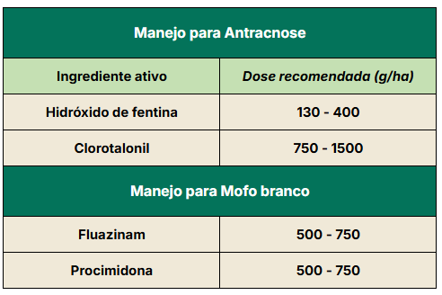Manejo químico da antracnose e mofo branco