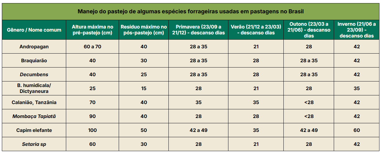 Manejo do pastejo de forrageiras