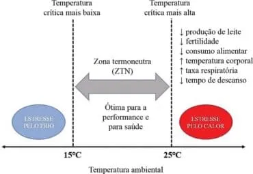 Zona termoneutra