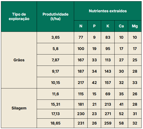 Extração de nutrientes no milho