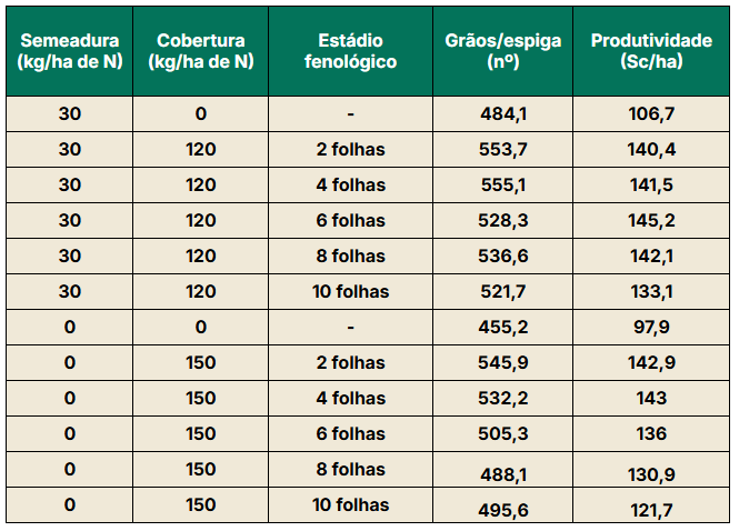 Produtividade na cultura do milho
