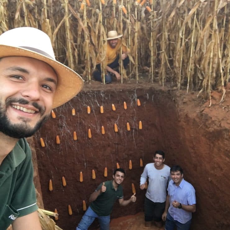 Equipe Rehagro analisando as raízes do milho