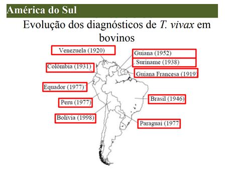 Tripanossomose na América do Sul 
