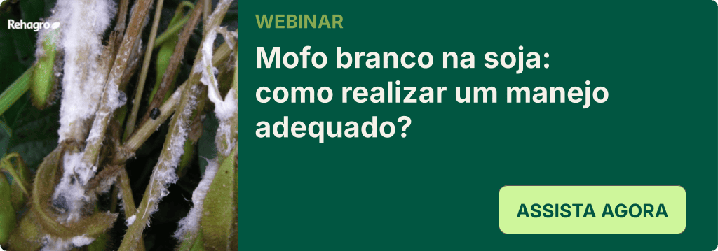 Webinar Mofo branco na soja