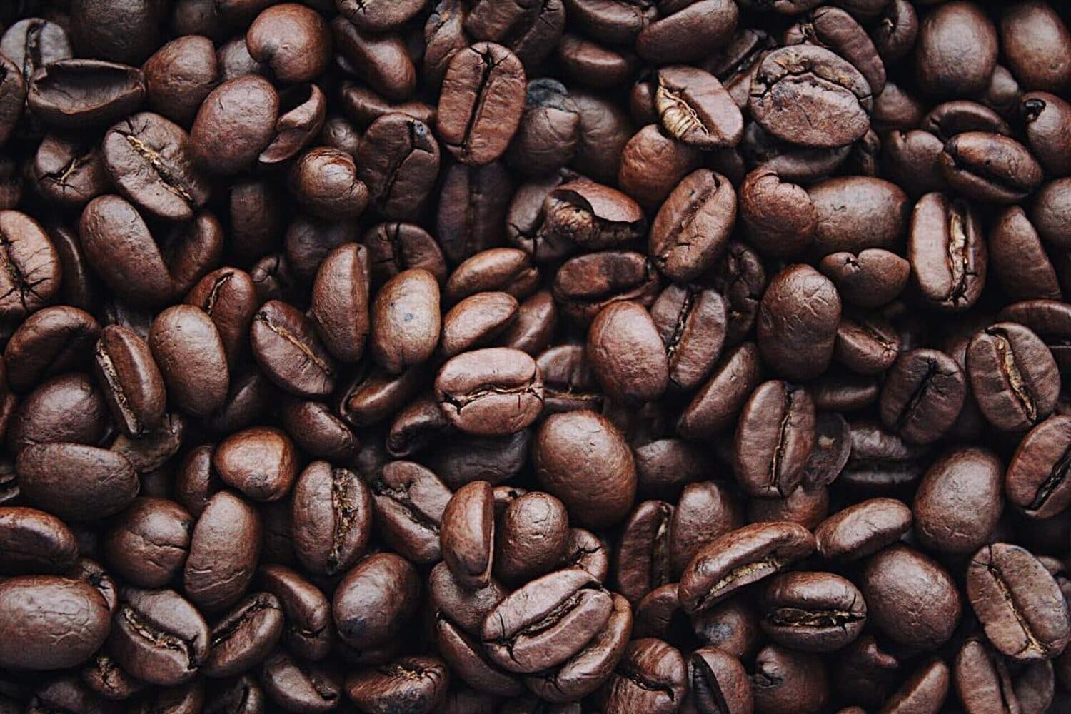 Produção de café no Brasil: veja o cenário e a importância