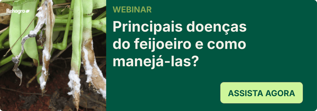 Webinar Doenças do feijoeiro