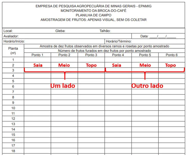 Hoja de trabajo de campo para muestreo de frutos de café.