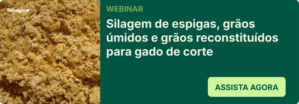 Webinar Silagem de espigas e grãos úmidos