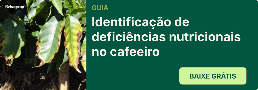 Guia Sintomas de deficiência nutricional no café
