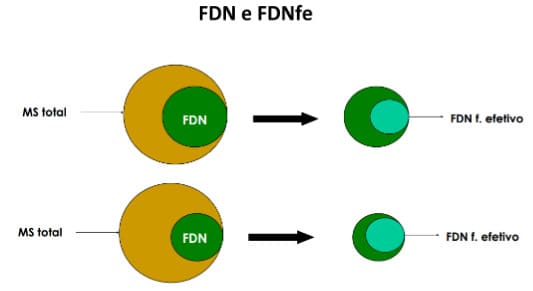 FDN e FDNfe
