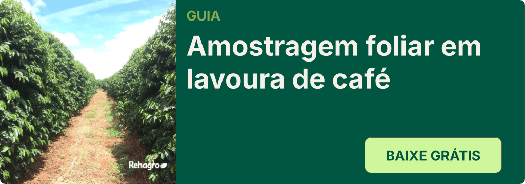 Guia Amostragem foliar na lavoura de café