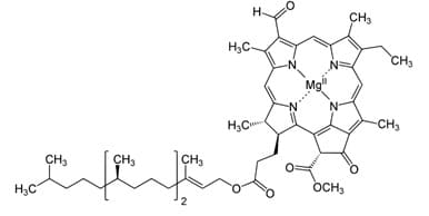 Estrutura molecular da clorofila