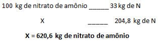 Fórmula nitrato de amônio