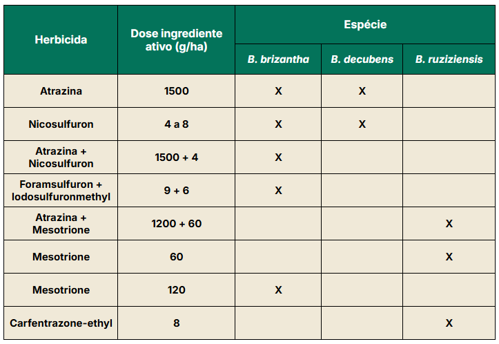 Relação de herbicidas