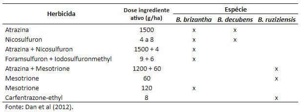 Tabela com a relação de herbicidas mais utilizados e suas respectivas doses para aplicação em pós-emergência na cultura do milho em consórcio com forrageiras