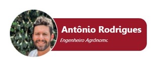Antônio Rodrigues