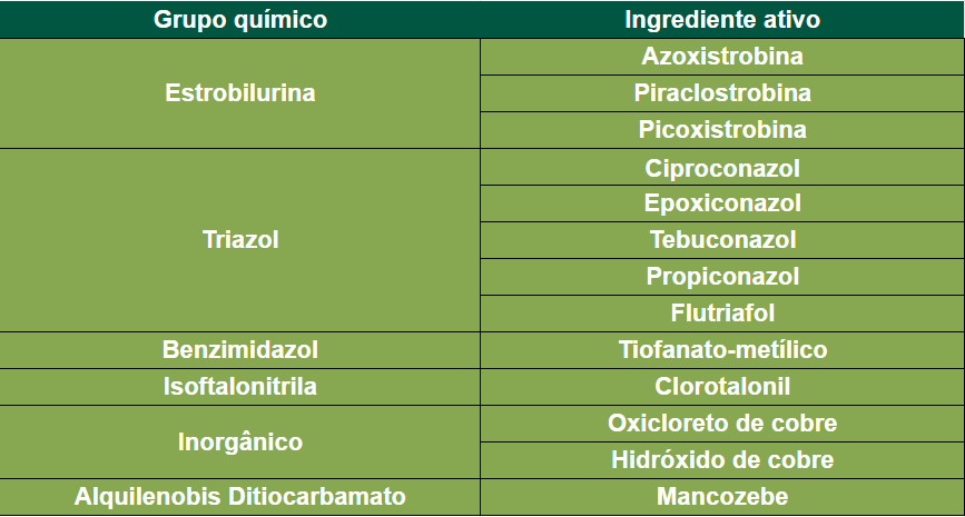 Tabela apresentando os grupos químicos que atuam no controle da cercosporiose