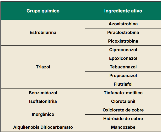 Tabela apresentando os grupos químicos que atuam no controle da cercosporiose