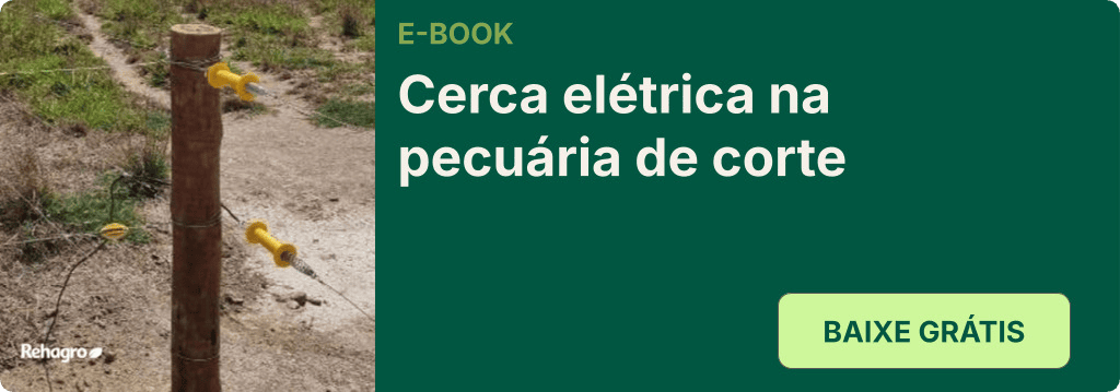 E-book Cerca elétrica na pecuária de corte