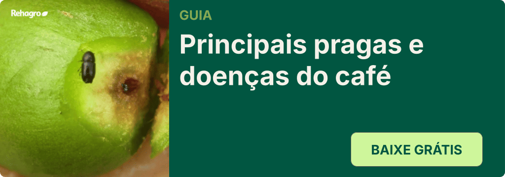Guia Principais pragas e doenças do café