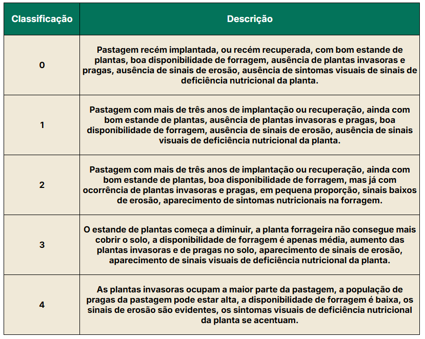 Classificação de níveis de degradação de pastagens