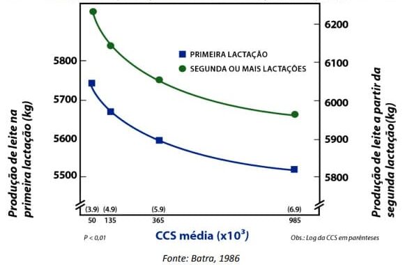 Relação entre a produção de leite e a contagem média de CCS
