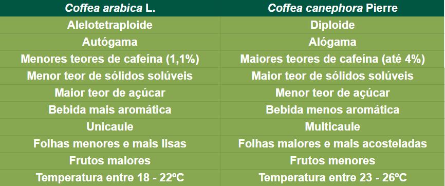 Tabela com as principais diferenças entre Coffea arabica e Coffea canephora
