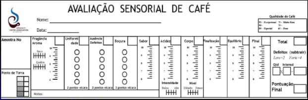 Ficha para análise sensorial do café