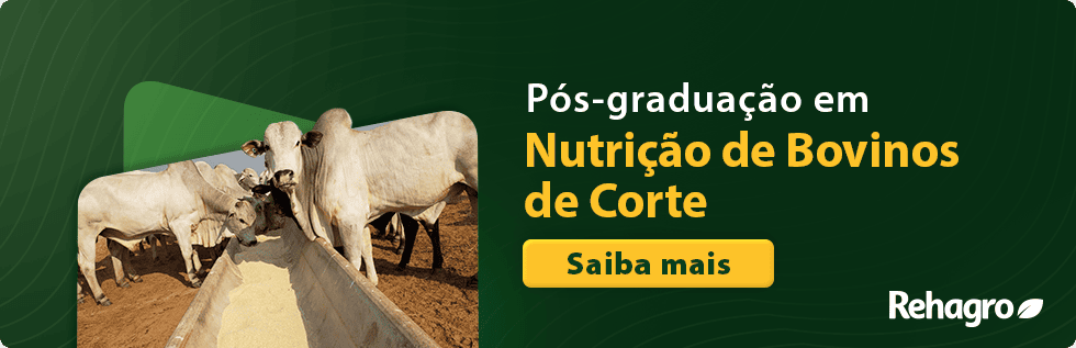 Clique e saiba mais sobre o curso! Pós-graduação em Nutrição de Bovinos de Corte