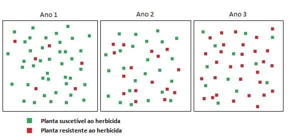 Evolução da resistência de plantas daninhas à herbicidas.