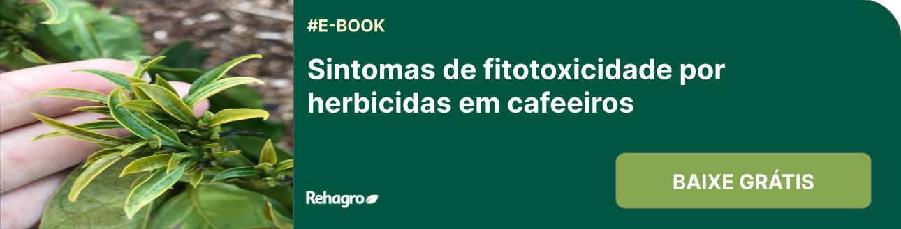 E-book Sintomas de fitotoxicidade