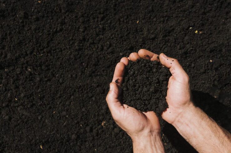 Pessoa segurando um pouco de solo nas mãos