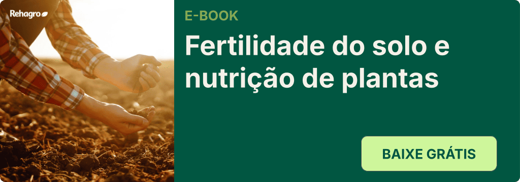 E-book Fertilidade do solo e nutrição de plantas