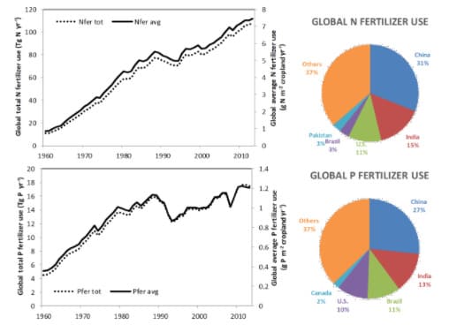 Padrões temporais de nitrogênio (N) e fósforo (P) globais de uso de fertilizantes em termos de quantidade total (tot) e taxa média por unidade de área de cultivo (média) por ano