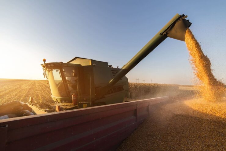 Colheitadeira realizando colheita de milho