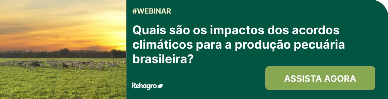 Webinar Impactos dos acordos climáticos para a pecuária brasileira