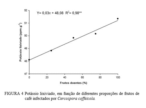 Tabela com a relação entre potássio lixiviado e frutos de café infectados por Cercospora coffeicola.