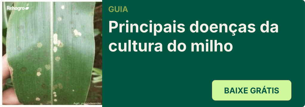 Guia Principais doenças do milho
