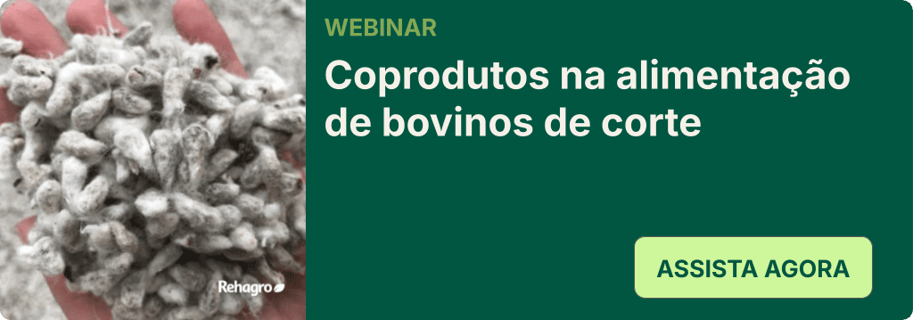 Webinar Coprodutos na alimentação do gado de corte