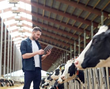 Homem segurando um tablet em uma fazenda leiteira