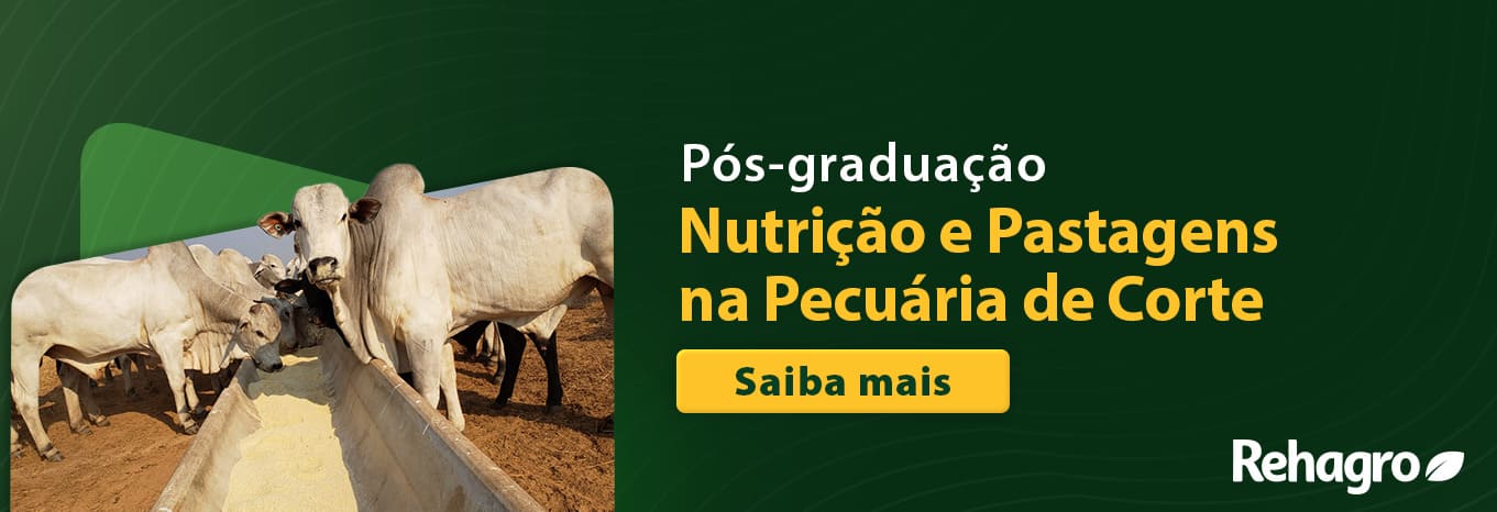 Pós-graduação em Nutrição e Pastagens na Pecuária de Corte
