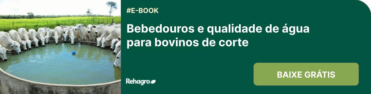 E-book Bebedouros para bovinos
